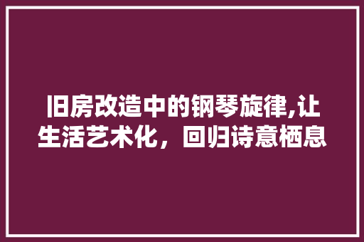 旧房改造中的钢琴旋律,让生活艺术化，回归诗意栖息