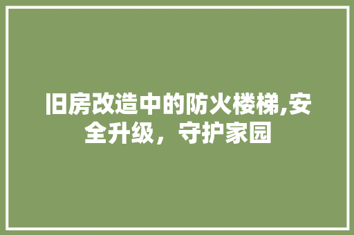 旧房改造中的防火楼梯,安全升级，守护家园