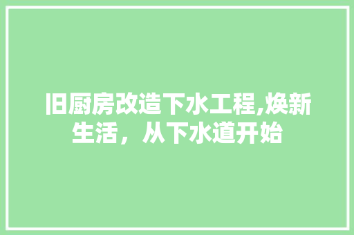 旧厨房改造下水工程,焕新生活，从下水道开始