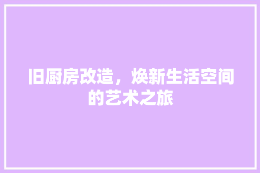 旧厨房改造，焕新生活空间的艺术之旅