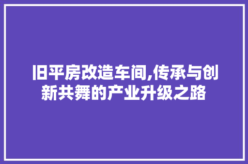 旧平房改造车间,传承与创新共舞的产业升级之路