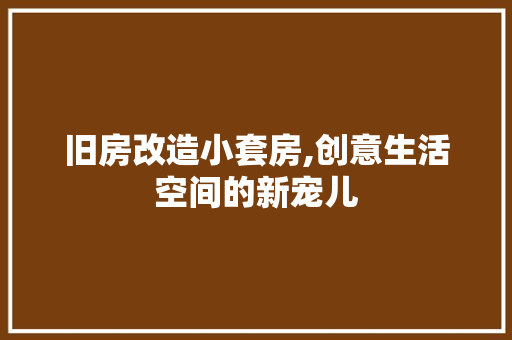 旧房改造小套房,创意生活空间的新宠儿