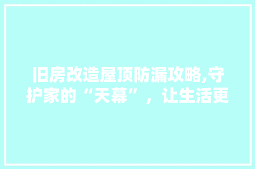 旧房改造屋顶防漏攻略,守护家的“天幕”，让生活更美好