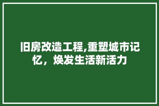 旧房改造工程,重塑城市记忆，焕发生活新活力