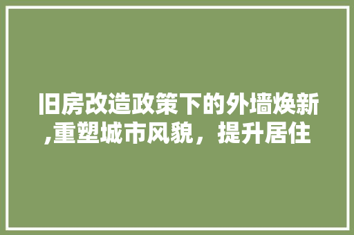 旧房改造政策下的外墙焕新,重塑城市风貌，提升居住品质