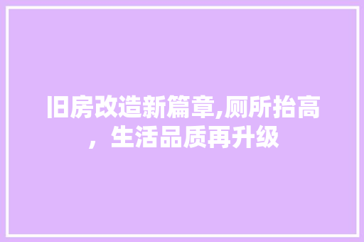 旧房改造新篇章,厕所抬高，生活品质再升级