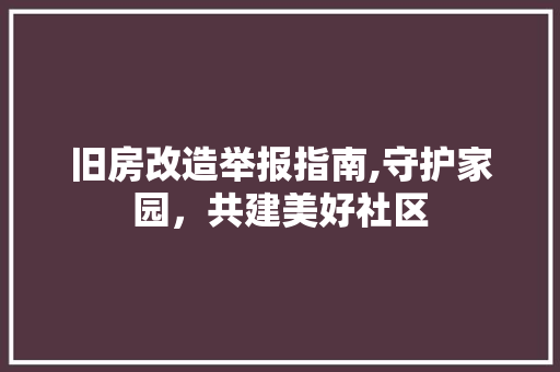 旧房改造举报指南,守护家园，共建美好社区