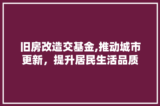 旧房改造交基金,推动城市更新，提升居民生活品质