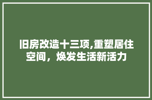 旧房改造十三项,重塑居住空间，焕发生活新活力