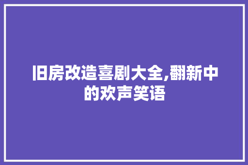 旧房改造喜剧大全,翻新中的欢声笑语