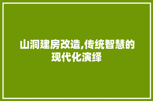 山洞建房改造,传统智慧的现代化演绎