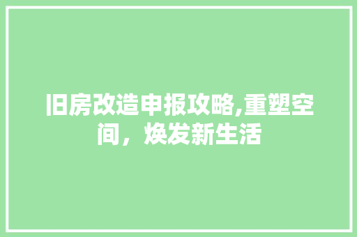 旧房改造申报攻略,重塑空间，焕发新生活