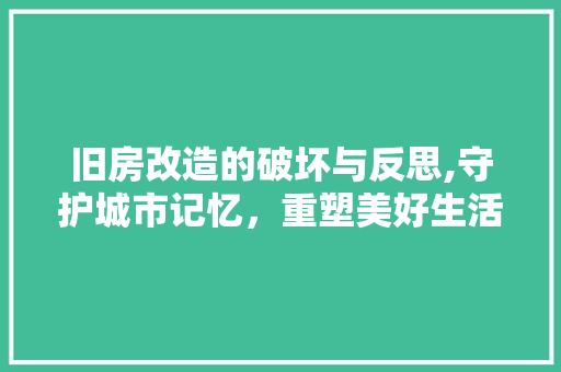 旧房改造的破坏与反思,守护城市记忆，重塑美好生活