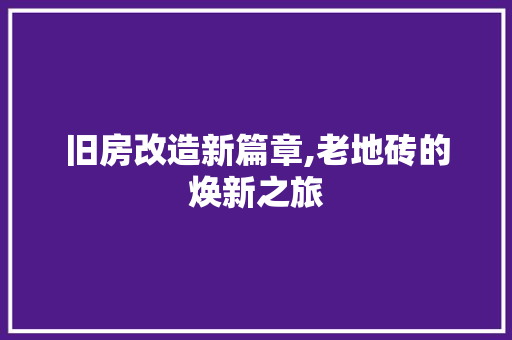 旧房改造新篇章,老地砖的焕新之旅
