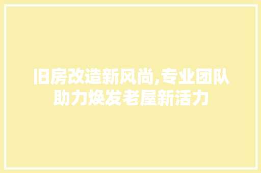 旧房改造新风尚,专业团队助力焕发老屋新活力