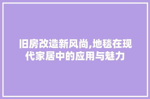 旧房改造新风尚,地毯在现代家居中的应用与魅力