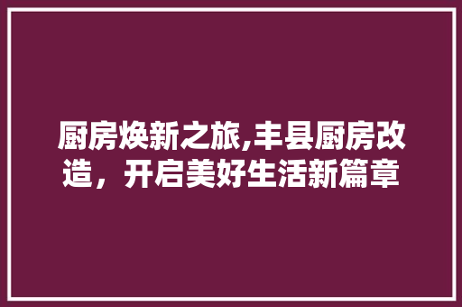 厨房焕新之旅,丰县厨房改造，开启美好生活新篇章