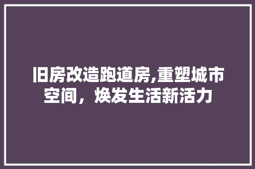 旧房改造跑道房,重塑城市空间，焕发生活新活力