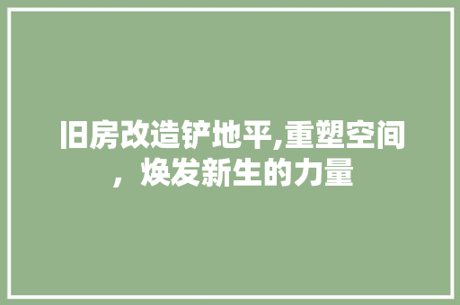 旧房改造铲地平,重塑空间，焕发新生的力量