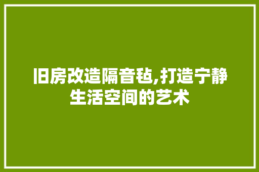 旧房改造隔音毡,打造宁静生活空间的艺术