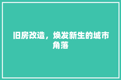 旧房改造，焕发新生的城市角落