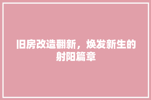 旧房改造翻新，焕发新生的射阳篇章
