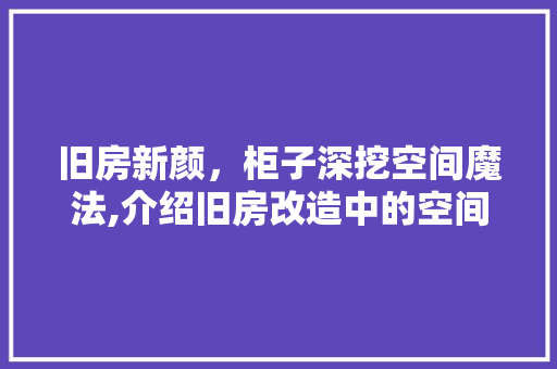 旧房新颜，柜子深挖空间魔法,介绍旧房改造中的空间优化步骤