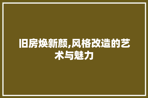 旧房焕新颜,风格改造的艺术与魅力