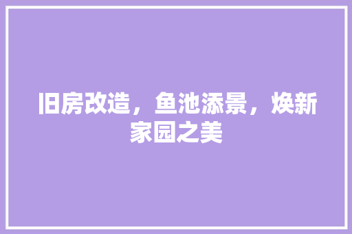 旧房改造，鱼池添景，焕新家园之美