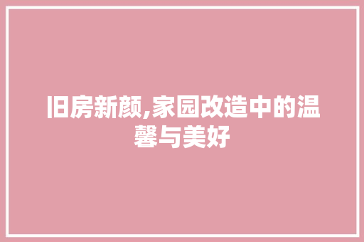 旧房新颜,家园改造中的温馨与美好