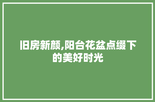 旧房新颜,阳台花盆点缀下的美好时光