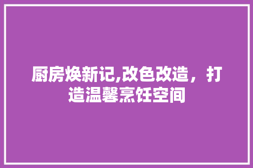 厨房焕新记,改色改造，打造温馨烹饪空间
