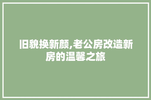 旧貌换新颜,老公房改造新房的温馨之旅