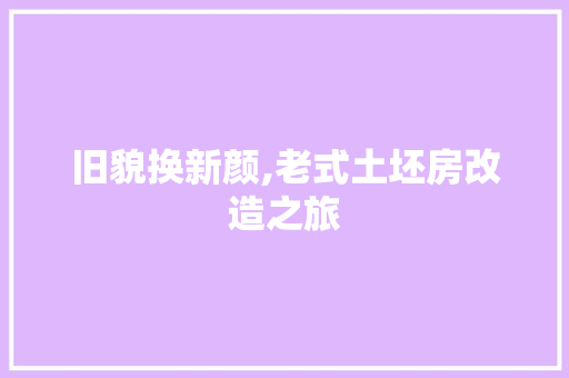 旧貌换新颜,老式土坯房改造之旅