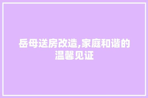 岳母送房改造,家庭和谐的温馨见证