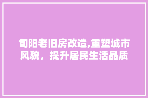 旬阳老旧房改造,重塑城市风貌，提升居民生活品质