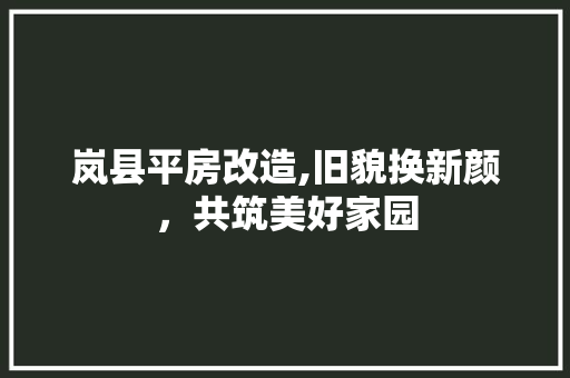 岚县平房改造,旧貌换新颜，共筑美好家园