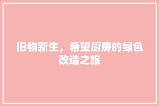 旧物新生，希望厨房的绿色改造之旅
