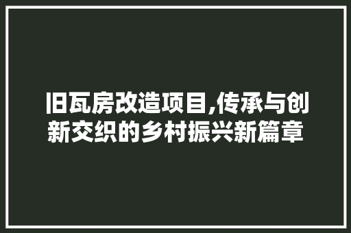 旧瓦房改造项目,传承与创新交织的乡村振兴新篇章
