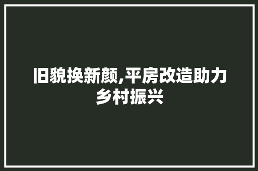 旧貌换新颜,平房改造助力乡村振兴