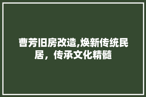 曹芳旧房改造,焕新传统民居，传承文化精髓