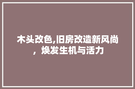 木头改色,旧房改造新风尚，焕发生机与活力