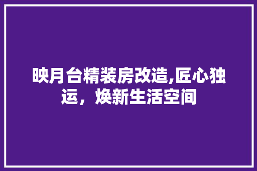 映月台精装房改造,匠心独运，焕新生活空间