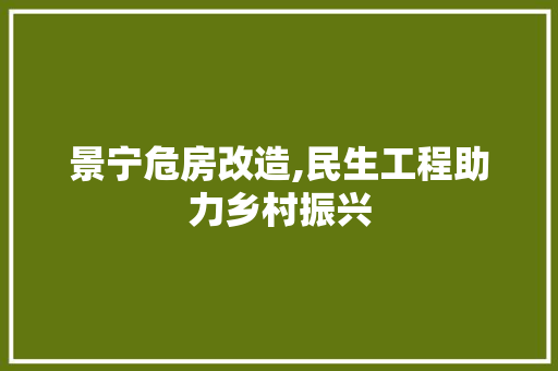 景宁危房改造,民生工程助力乡村振兴