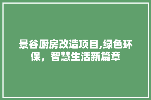 景谷厨房改造项目,绿色环保，智慧生活新篇章