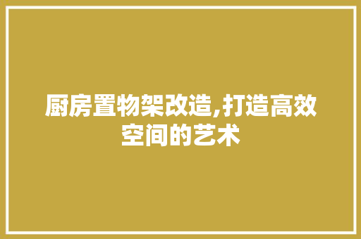 厨房置物架改造,打造高效空间的艺术
