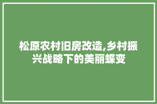 松原农村旧房改造,乡村振兴战略下的美丽蝶变