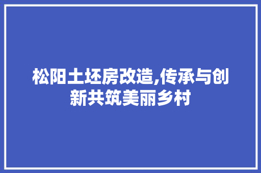 松阳土坯房改造,传承与创新共筑美丽乡村