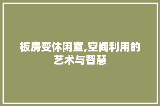 板房变休闲室,空间利用的艺术与智慧