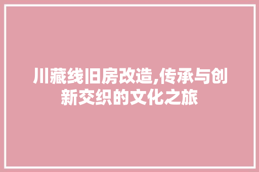 川藏线旧房改造,传承与创新交织的文化之旅